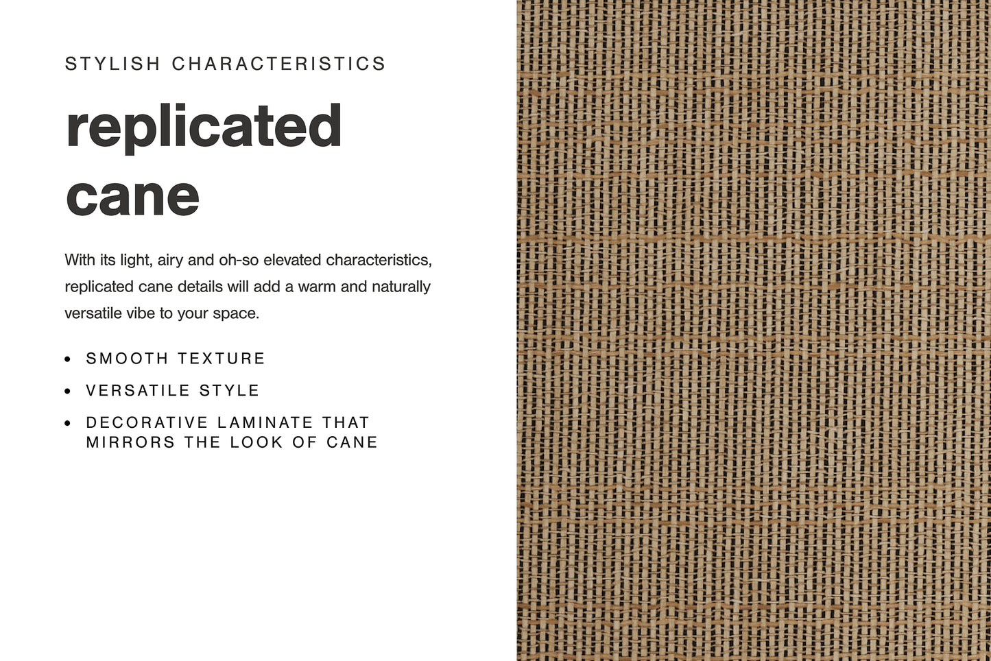 Cielden King Panel Bed with Mirrored Dresser